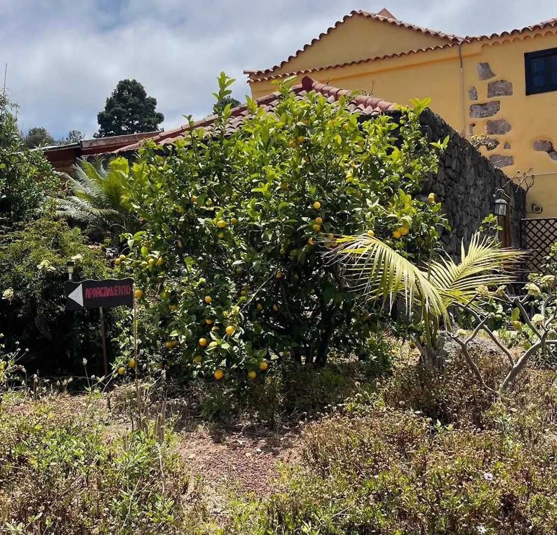 Casonas De Marengo Guest House Icod De Los Vinos Country house